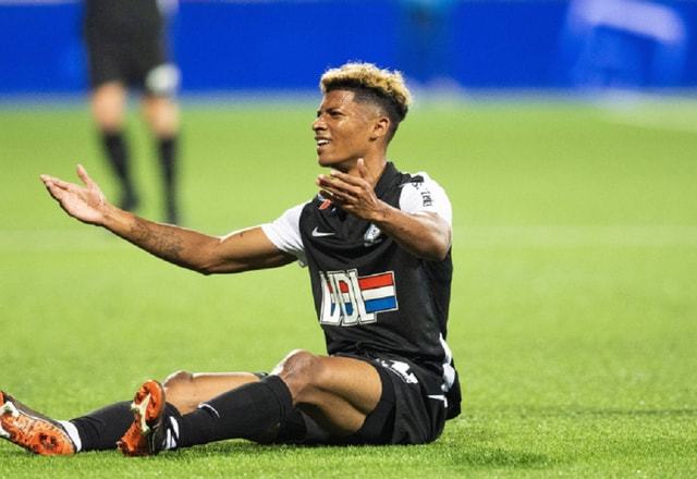 战役中毫不 战役中毫不