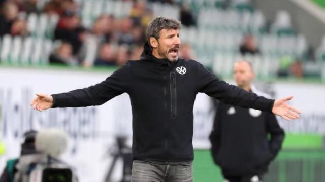 我们期待布 我们期待布