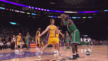 广州蒲公英 广州蒲公英