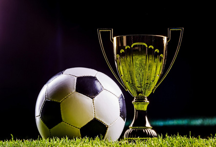 阿森纳加大 阿森纳加大